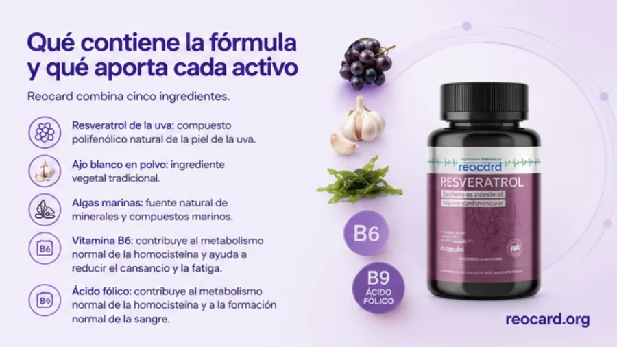Reocard — fórmula con resveratrol, ajo blanco, algas marinas, vitamina B6 y ácido fólico